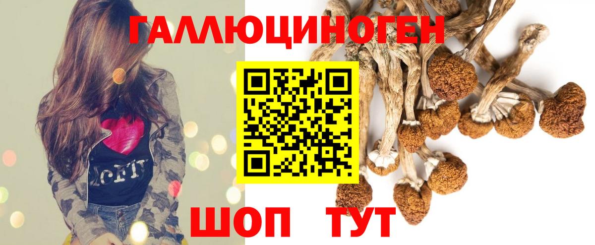 Псилоцибиновые грибы прущие грибы  Галлюциногенные грибы прущие грибы  где купить наркотик  Вход с VPN  Моздок 