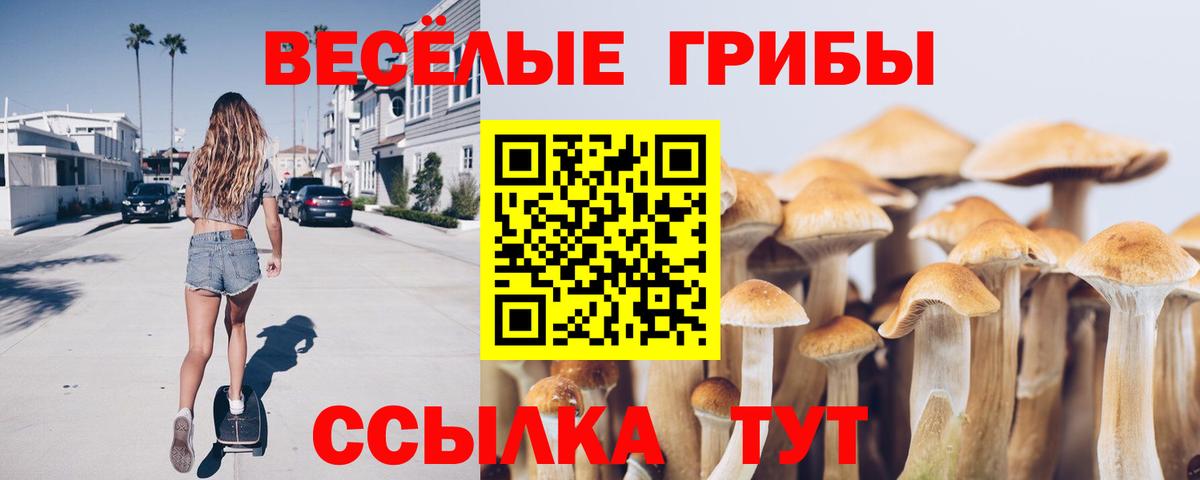 Галлюциногенные грибы мицелий Моздок
