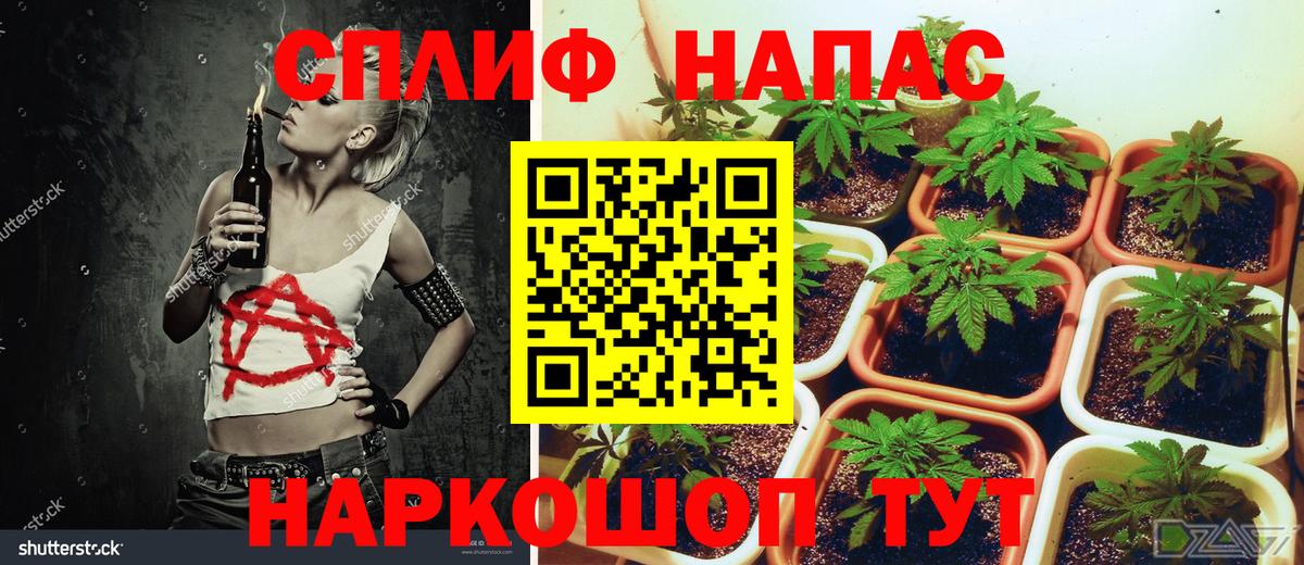 Марихуана ГИДРОПОН  Бошки марихуана Amnesia  Моздок  Марихуана индика  МАРИХУАНА Ganja  Вход с VPN 